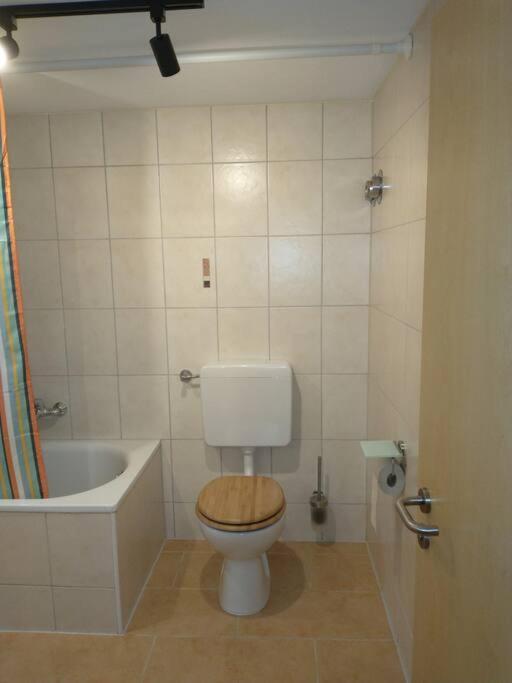 Schicke Hundefreundliche Wohnung Alsheim ภายนอก รูปภาพ